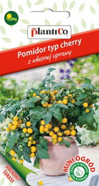 NASIONA Pomidor Koktajlowy Cherry Aztek 0,2g PLANTICO Do Sałatek 426511