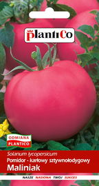 NASIONA Pomidor Typ Malinowy Karłowy Maliniak 0,5g PLANTICO 405202