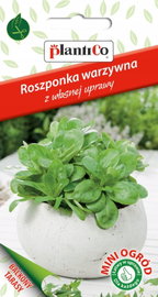 NASIONA Roszponka Warzywna 0,5g PLANTICO Na Taras Balkon 426498