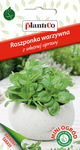 NASIONA Roszponka Warzywna 0,5g PLANTICO Na Taras Balkon 426498