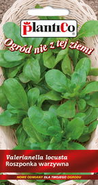 NASIONA Roszponka Warzywna 1g PLANTICO Całoroczna 404816