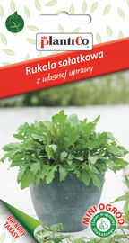 NASIONA Rukola Sałatowa 1g PLANTICO Całoroczna 426481