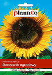 NASIONA Słonecznik Ogrodowy Jadalny 10g PLANTICO 408807