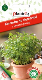 NASIONA Kolendra Siewna Na Cięte Listki 0,5g PLANTICO Taras Balkon 426559