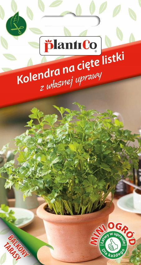 NASIONA Kolendra Siewna Na Cięte Listki 0,5g PLANTICO Taras Balkon 426559