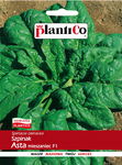 NASIONA Szpinak Asta Mieszaniec F1 10g PLANTICO 404519