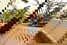Dkaren Komplet Beatrice Czarny L
