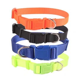 Obroża dla psa z nylonu 1 cm szerokości 20-30 cm w czterech kolorach zapewniając