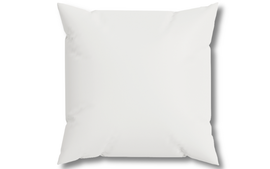 PODUSZKA 40x40cm JASIEK WKŁAD PODUSZEK WYPEŁNIENIE