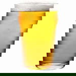 Zestaw surowców (ekstrakty) - jasne ALE 12 BLG 20 litrów