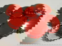 Kapsle Czerwone 100 szt