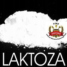 Laktoza (lactose) - niefermentowalny cukier mlekowy - op. 500 g