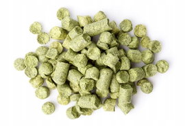 Chmiel Columbus (USA) granulat 50 g
