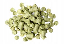Chmiel Columbus (USA) granulat 100 g