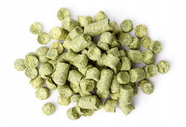 Chmiel uniwersalny Citra (USA) 100 g 2024