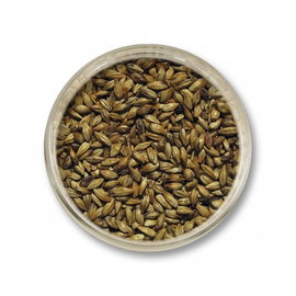 Słód karmelowy 30 Viking Malt 0,5 kg - śrutowany