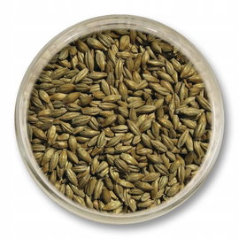 Słód Wiedeński Viking Malt 5 kg śrutowany