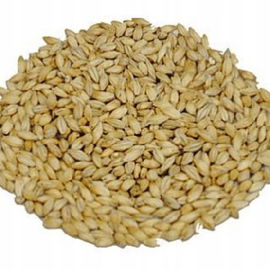 Słód pilzneński 3-5 EBC Weyermann 1 kg