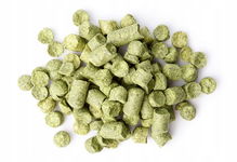 Chmiel Ekuanot (USA) 50g - granulat 2024