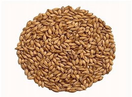 Słód Abbey Malt 40 - 50 EBC Weyermann 0,5 kg srutowany