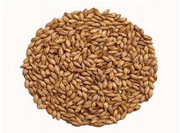 Słód Abbey Malt 40 - 50 EBC Weyermann 0,5 kg srutowany
