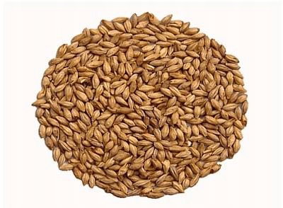 Słód Abbey Malt 40 - 50 EBC Weyermann 0,5 kg srutowany