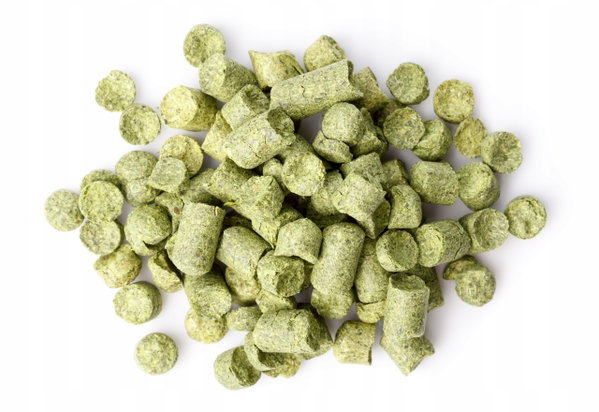 Chmiel Tradition granulat 100 g 2024