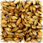 Słód Chateau Cara Gold Castle Malting 0,5 kg śrut
