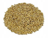 Słód Zakwaszający Weyermann 0,5kg - śrutowany