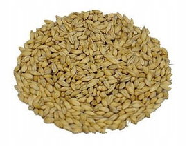 Słód Pale Ale Weyerman 1 kg - śrutowany