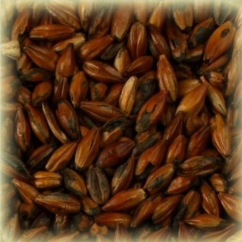 Słód Chateau Cafe 500 EBC Castle Malting 0,5 kg