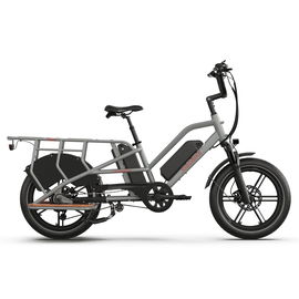 Rower Elektryczny Jobobike Transer Szary / Podwójna bateria