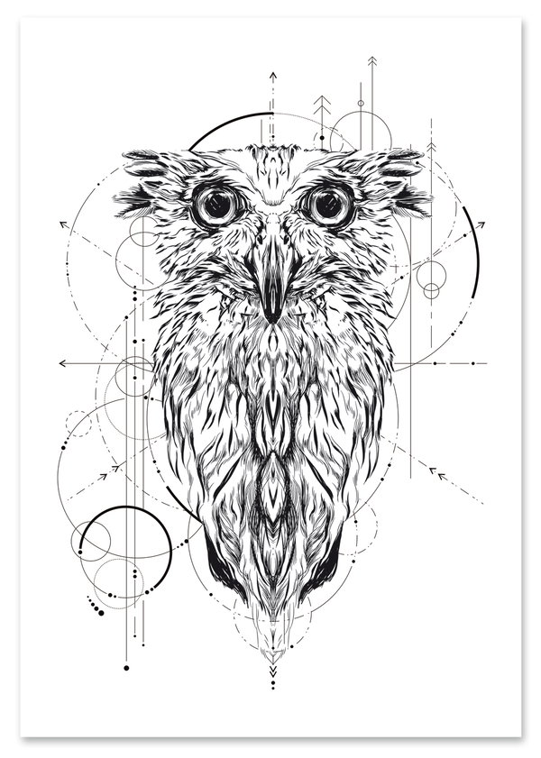 Plakat portret sowa geometria 50x70 cm