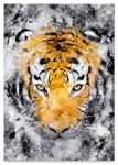 Plakat tygrys abstrakcja 70x100 cm