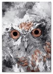 Plakat sowa abstrakcja 40x50 cm