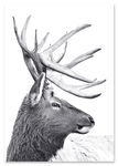 Plakat skandynawski jeleń 30x40 cm