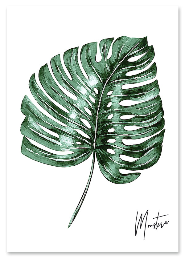 Plakat monstera podpis 40x50 cm