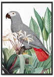 Plakat papuga szara rośliny 21x30 cm w czarnej ramie