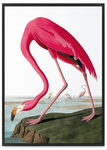 Plakat flaming różowy vintage 30x40 cm w czarnej ramie
