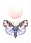 Plakat ćma motyl pokój dziecka 29,7x42 cm A3