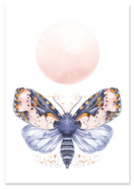 Plakat ćma motyl pokój dziecka 30x40 cm