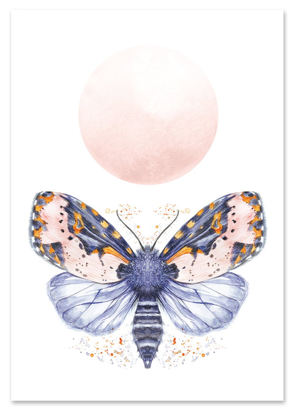 Plakat ćma motyl pokój dziecka 40x50 cm