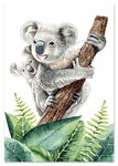 Plakat miś koala zielone liście 61x91 cm