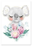 Plakat plakaty dla dziecka obrazki koala 30x40 cm