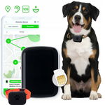 LOKALIZATOR GPS DLA PSA opcja przywołania APLIKACJA POLSKA LOCON DOG MAX