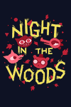 Night in the Woods
