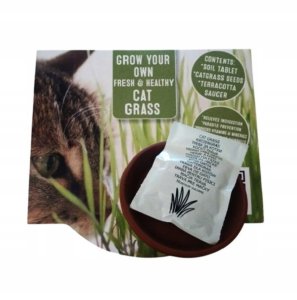 Trawa dla kota CAT GRASS nasiona + mini doniczka terakota bioziemia 15 g