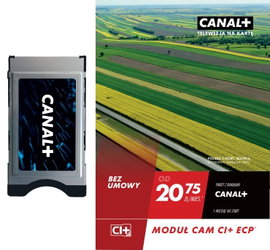 Moduł TV CAM 4K CI+ TNK Canal+ 1 miesiąc Bez Umowy Telewizja na Kartę ECP