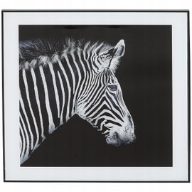 Nowoczesny i designerski Obraz Czarno Biały 50 x 50 cm Czarna Rama ZEBRA