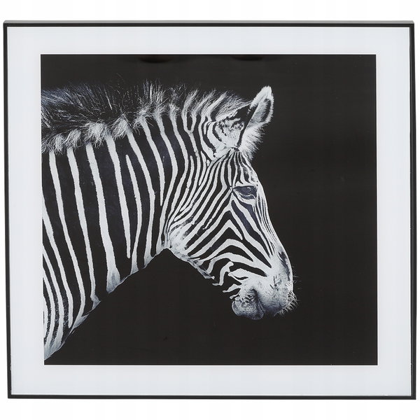 Nowoczesny i designerski Obraz Czarno Biały 50 x 50 cm Czarna Rama ZEBRA